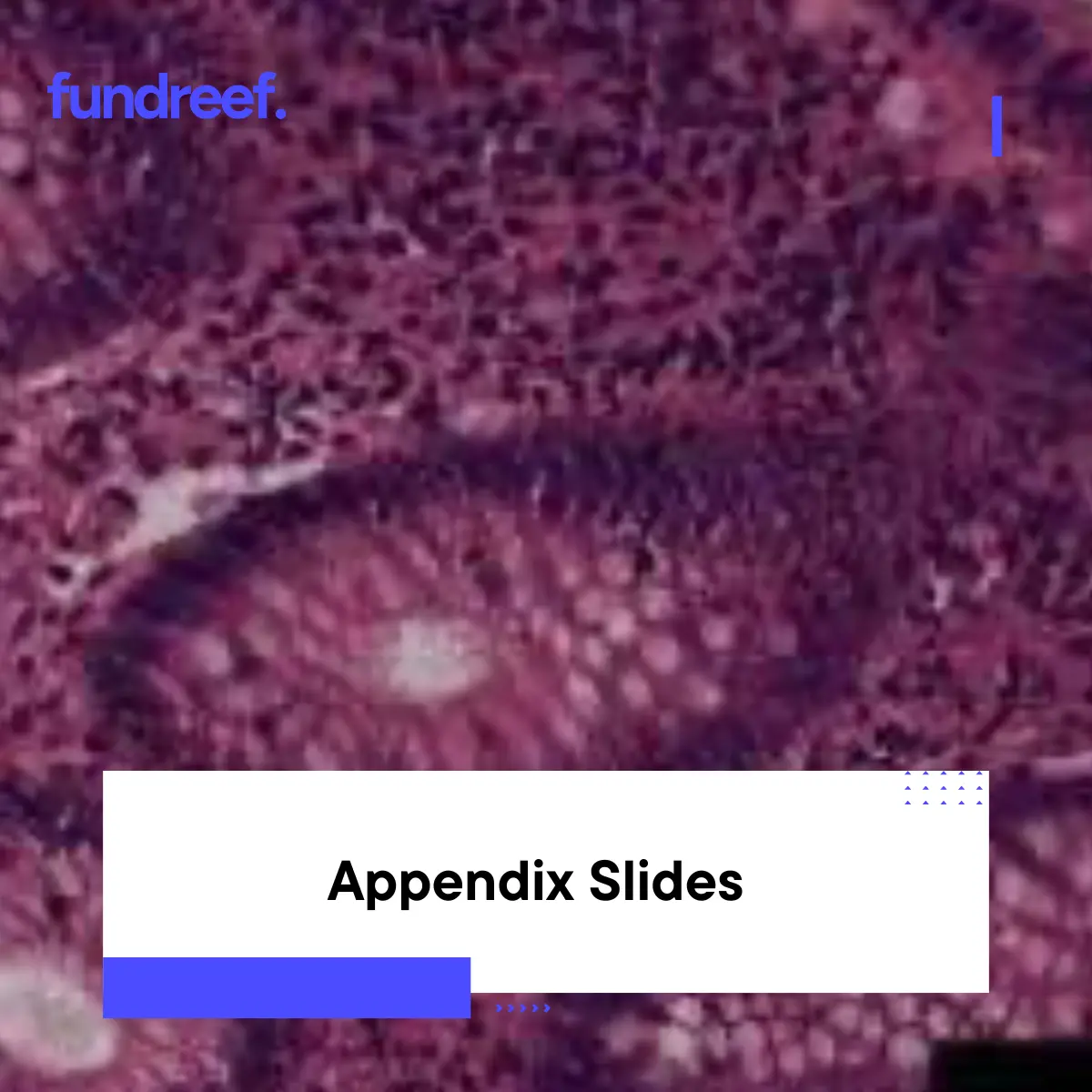 Appendix Slides