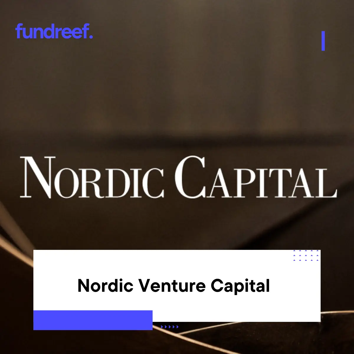 Nordic Venture Capital