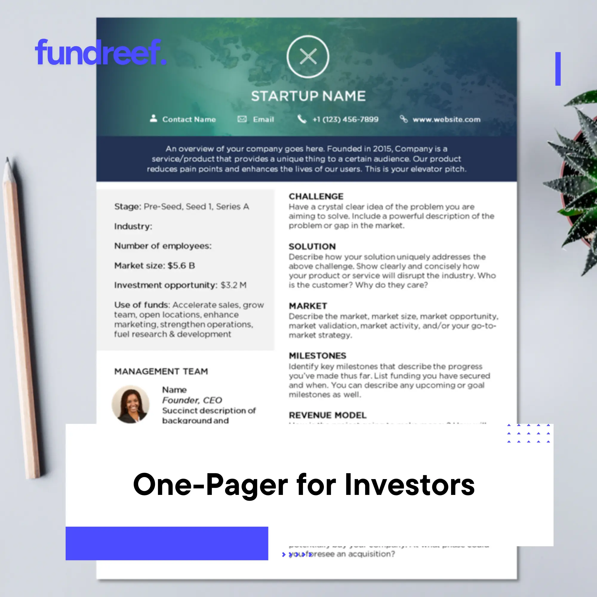 One-Pager for Investors Template and Examples
