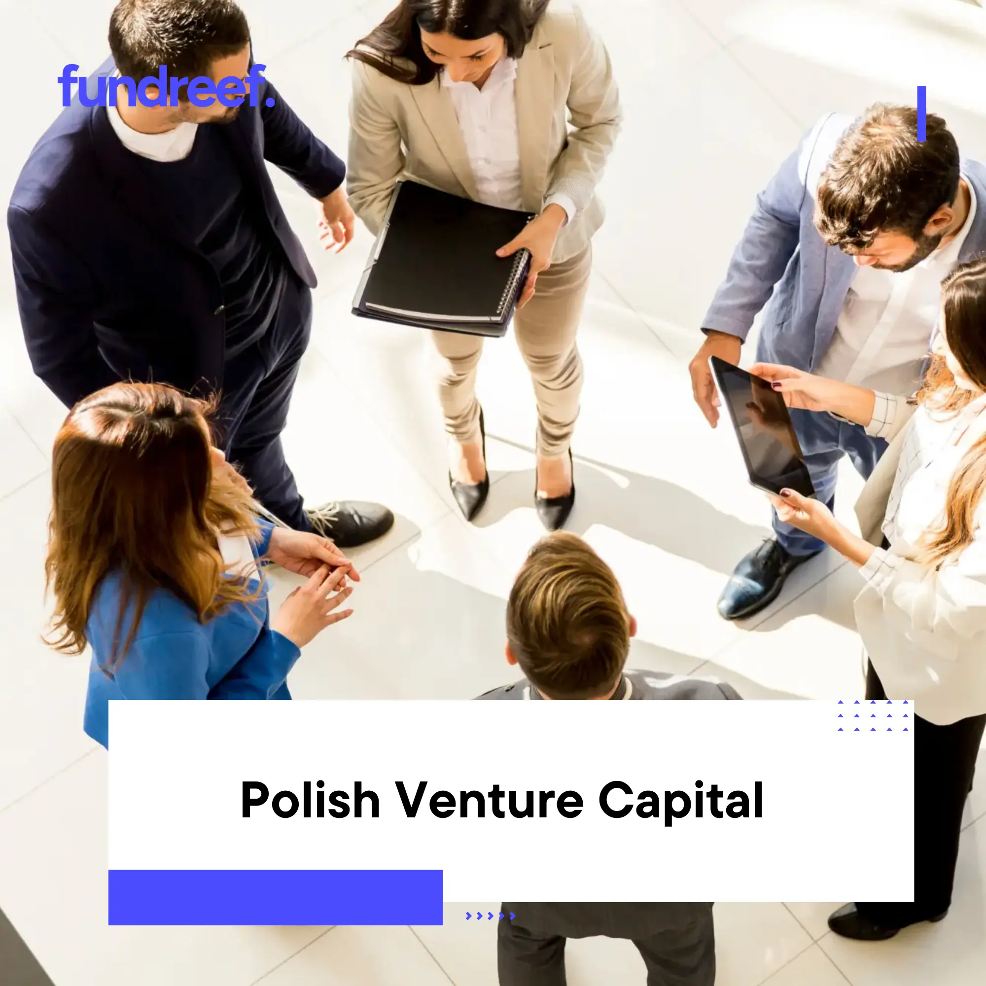 Polish Venture Capital
