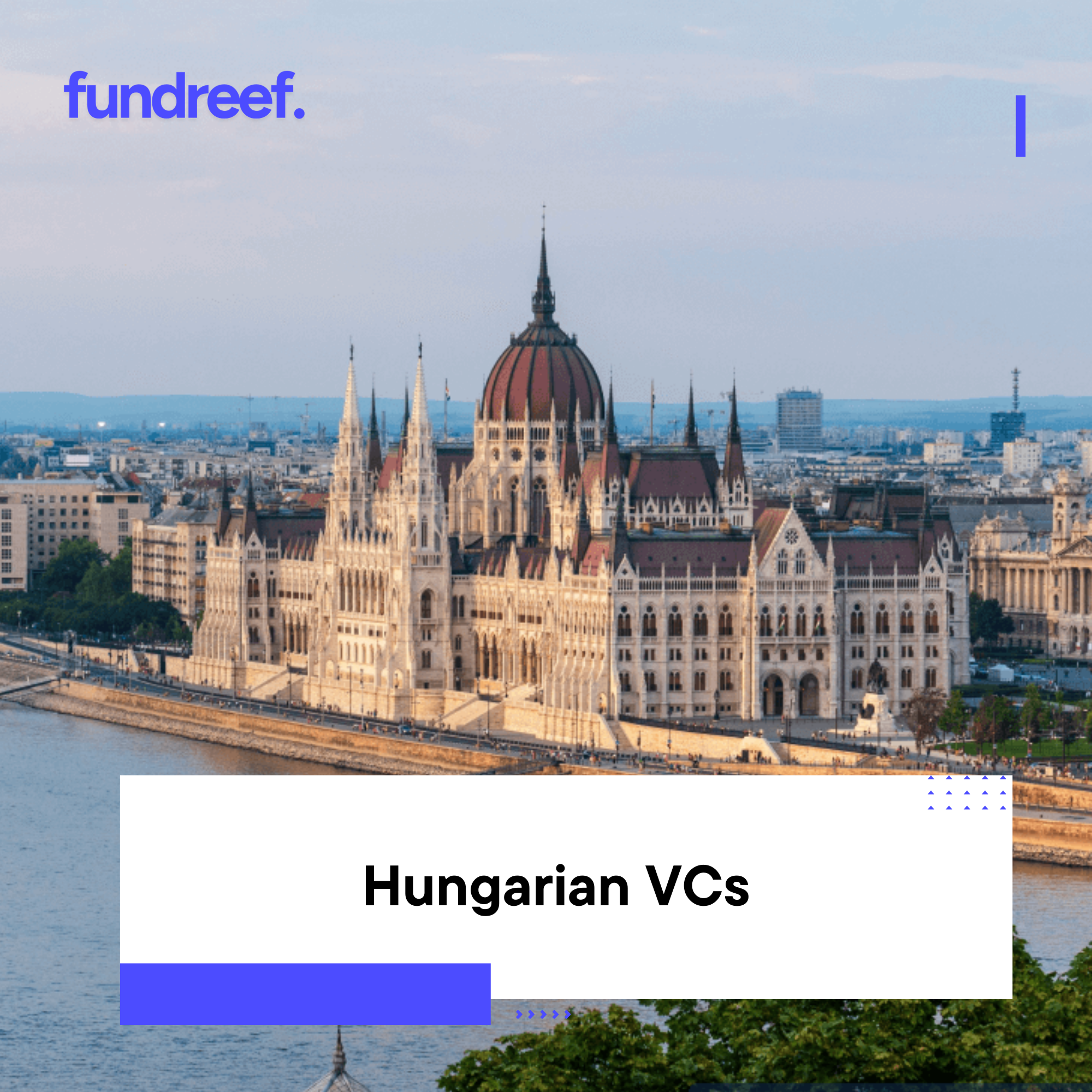 Hungarian VCs